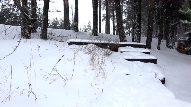 在冬天的公园里，女人走下被雪覆盖的楼梯。4 k视频素材