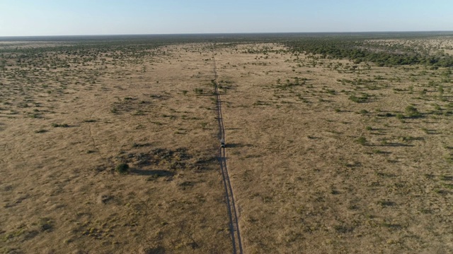 4K高空缩放视图的狩猎车辆通过非洲大草原，纳米比亚视频素材