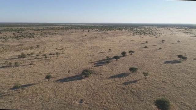 4K空中倾斜视角的非洲大草原，纳米比亚视频素材