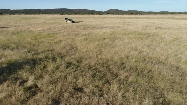 4K空中飞行的视角，一辆狩猎汽车通过非洲大草原，纳米比亚视频素材