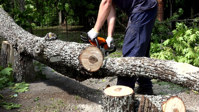 一个男人拿着链锯锯橡树中的木柴的特写镜头视频素材
