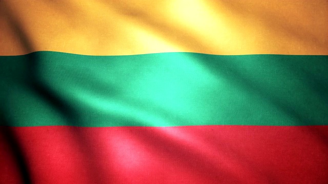 立陶宛国旗4 k视频素材