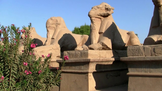 狮身人面像的公羊巷，卡纳克神庙，卢克索，埃及视频素材