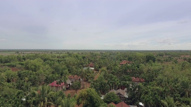 无人机拍摄:飞过一个被棕榈树和椰子树环绕的小村庄。视频素材