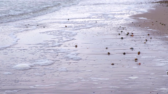 波和沙子。平静的大海。视频下载