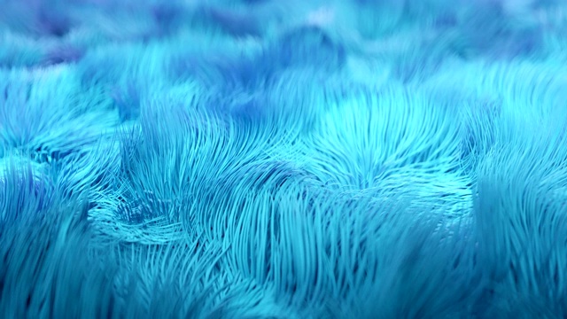 4K抽象水下海藻毛皮。视频素材