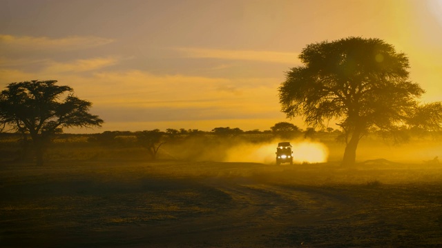 Safari汽车在沙路上行驶视频素材