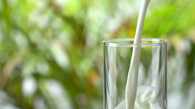 慢镜头:把牛奶倒进玻璃杯里，背景是茂盛的树叶。视频下载