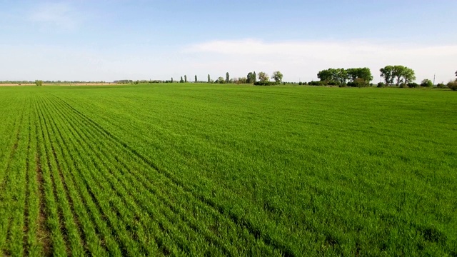 绿地景观天线。农田背景上的蓝天视频下载