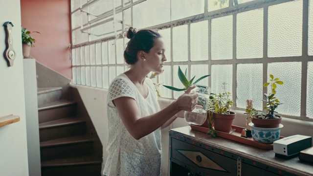 女人在家里浇花(慢镜头)视频下载