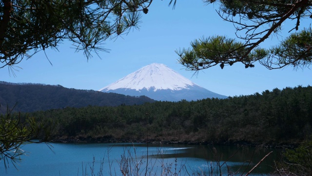 从Saiko湖看富士山视频素材