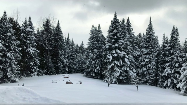 佛蒙特州下大雪视频素材