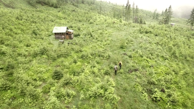 森林里的一间老木屋。鸟瞰图视频素材