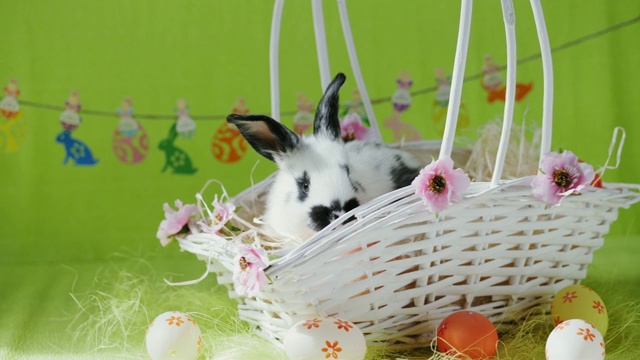 小兔子在白色的篮子里，还有装饰好的鸡蛋视频素材