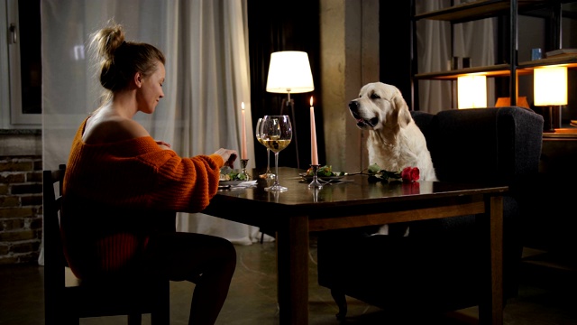 浪漫晚餐时带着狗的随便女人视频下载