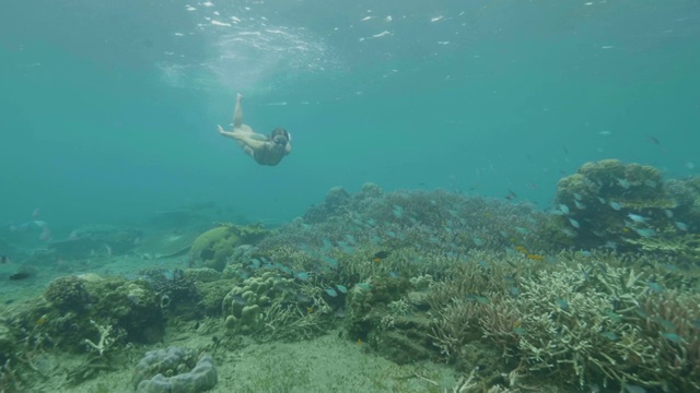 水下观热带鱼和年轻女子游过珊瑚礁在海里。女孩戴着护目镜浮潜，在深海中观察水下自然。在海里潜水和浮潜。视频素材