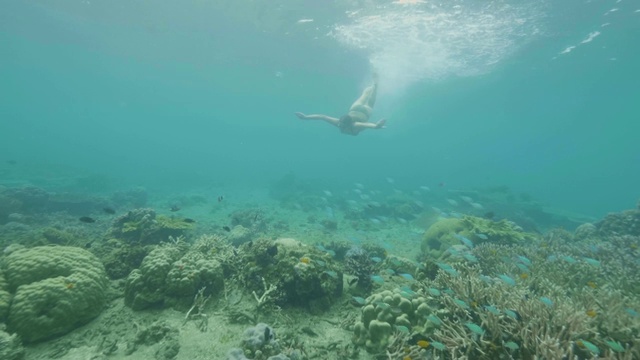 在透明的海水中，年轻女子在热带鱼和珊瑚礁之间游泳。戴着护目镜的女孩在清澈的海洋里潜水，观察海洋生物。视频素材