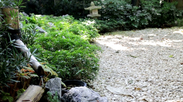 花园里的日式小喷泉视频素材