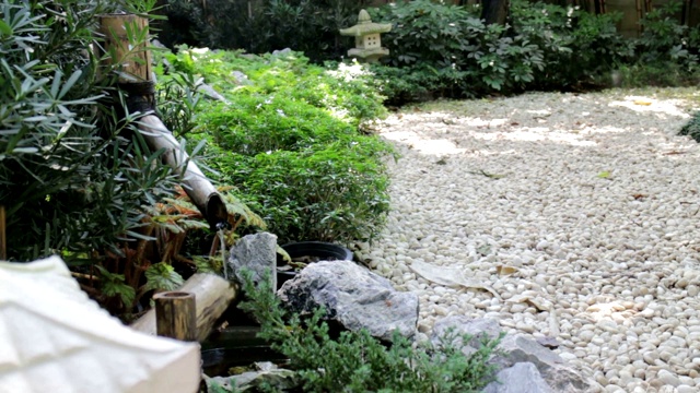 水从木喷口流出，流入日本的石头花园视频素材