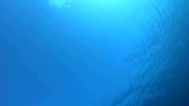 蓝色海水表面视频素材