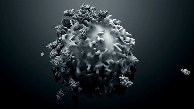 3d蛋白质与淋巴细胞，t细胞或癌细胞视频素材