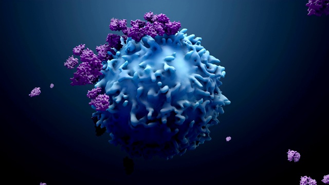 3d蛋白质与淋巴细胞，t细胞或癌细胞视频购买