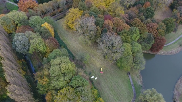 鸟瞰荷兰杜德雷赫特公园里五颜六色的秋树视频素材