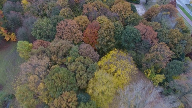 鸟瞰荷兰杜德雷赫特公园里五颜六色的秋树视频素材