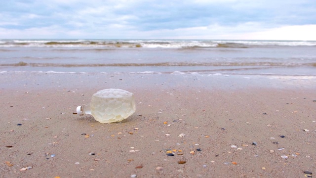 塑料瓶被带到沙滩上。视频素材