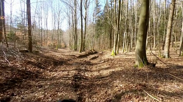 在阳光明媚的冬季森林里骑山地自行车视频素材