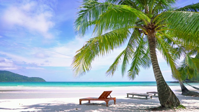 热带海滩酒店。棕榈树。天空。视频素材