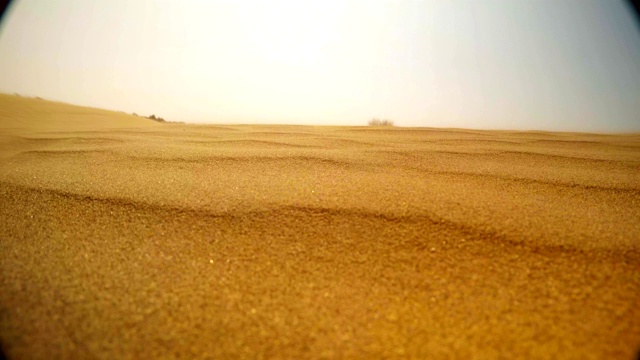 风慢慢地移动沙丘中的沙粒和它在阳光下的光芒，拉贾斯坦邦沙漠接近视频下载