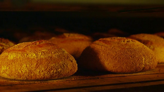 在旧金山的烤箱里烤面包视频素材