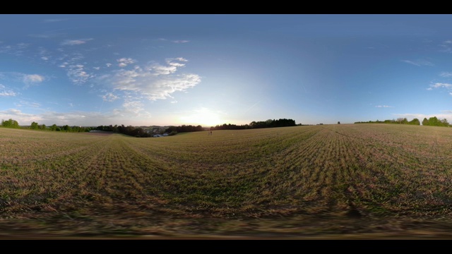 360 VR /一对夫妇在日落时走过田野视频下载