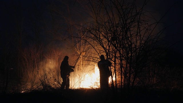两名消防队员在夜间用扑火板扑灭森林里的一场大火视频素材