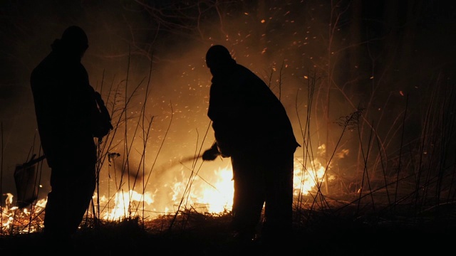 两名消防队员在夜间用扑火板扑灭森林里的一场大火视频素材
