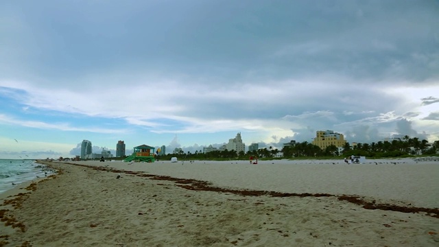 令人惊叹的美丽，大西洋的地平线和蓝天。佛罗里达迈阿密南海滩的海鸥。视频素材