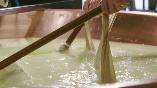 奶酪制作师使用新鲜的生物牛奶制作帕尔玛干酪。加工过程遵循古老的意大利传统。视频素材