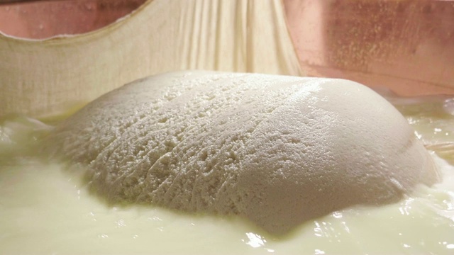 奶酪制作师使用新鲜的生物牛奶制作帕尔玛干酪。加工过程遵循古老的意大利传统。视频素材