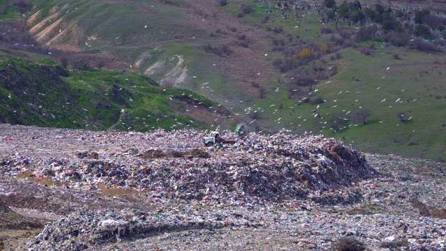 一辆卡车在公墓附近的一个大垃圾场倾倒垃圾，那里有很多鸟在飞翔视频素材