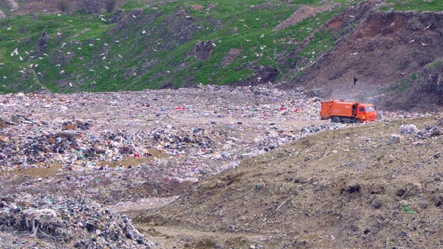卡车穿过垃圾填埋场。许多鸟飞来飞去。视频素材