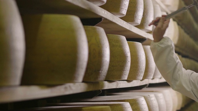 意大利，帕尔马——2018年5月2日——一名奶酪制作者控制着帕尔马奶酪的调味料，这些奶酪必须经过数月的成熟。加工过程遵循古老的意大利传统。视频下载