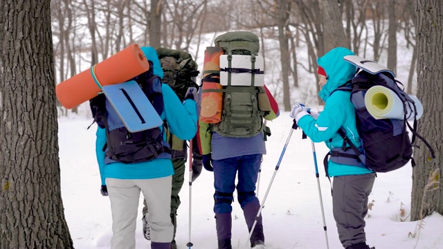 探险队中的四个人。徒步旅行在困难的条件下进行，人们会陷入雪堆中视频素材