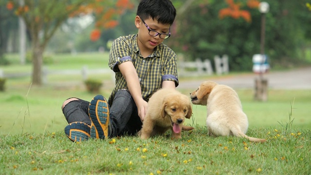 亚洲男孩和小狗狗视频素材