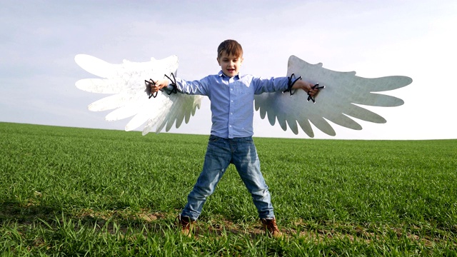 草地上的小男孩长着翅膀视频下载