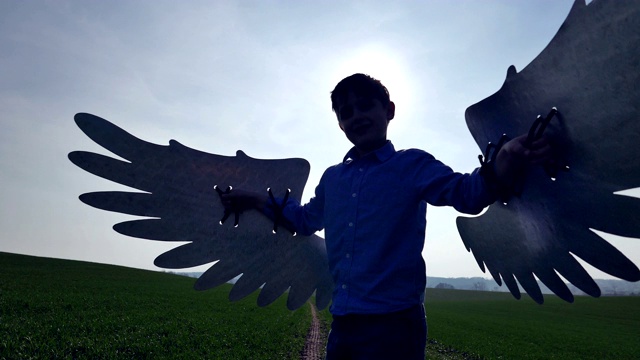 草地上的男孩长着天使的翅膀视频下载