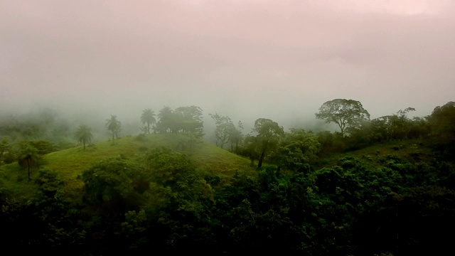 山上覆盖着热带雨林和蒸汽视频下载