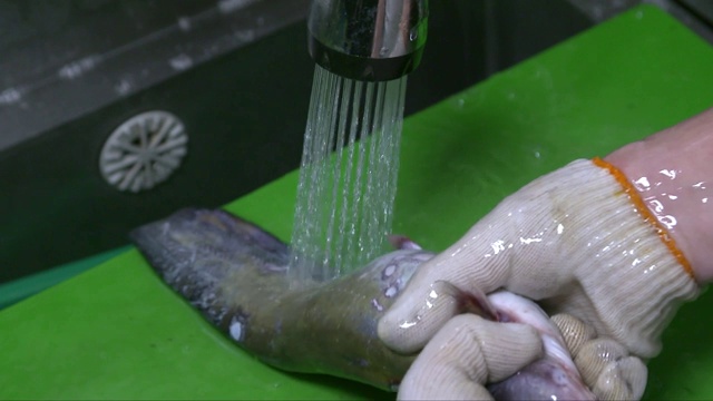 在切菜板上洗鲶鱼视频素材