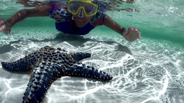 成年妇女浮潜和发现热带海星视频下载