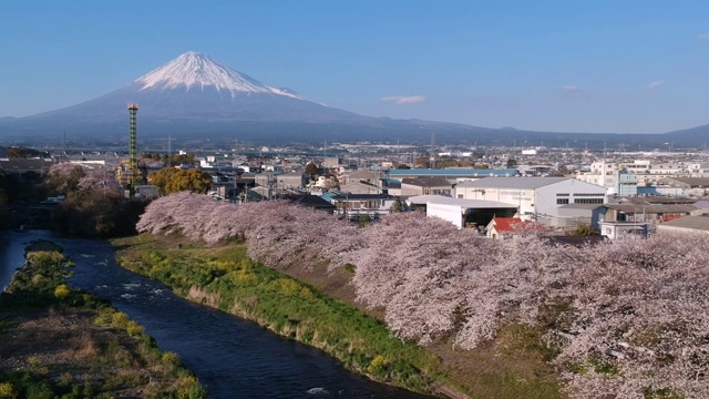 日本的风景有富士山和樱花视频下载